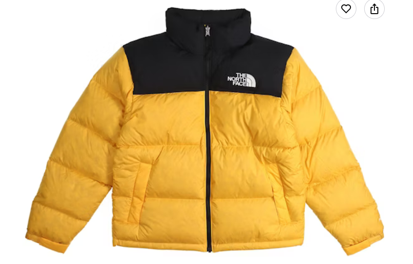 The North Face 1996 Retro Nuptse 700-Fill Down Puffer Jacket